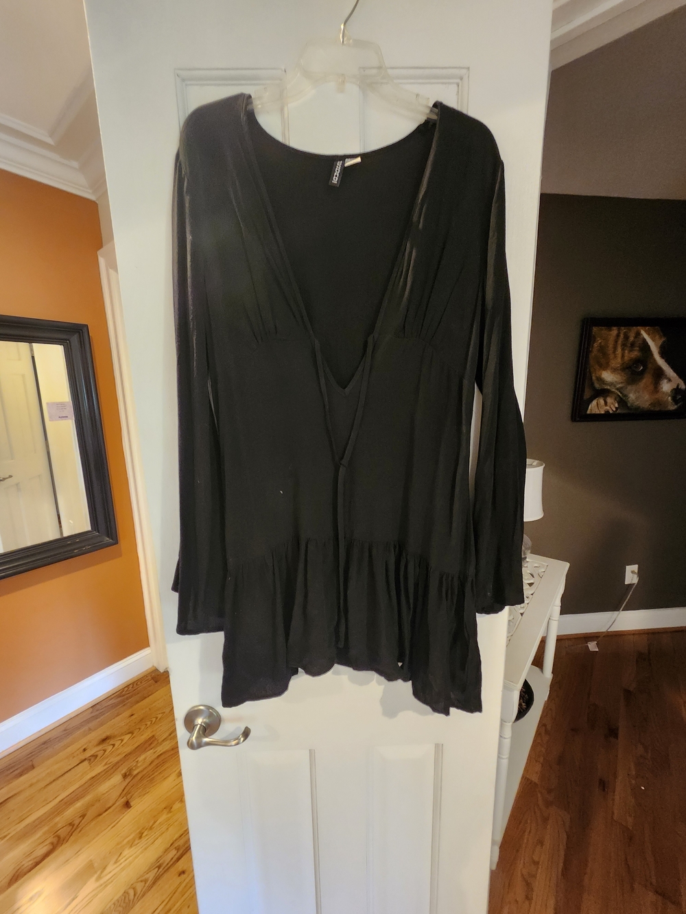 Divided Black Sheer Long Sleeve Swim Coverup